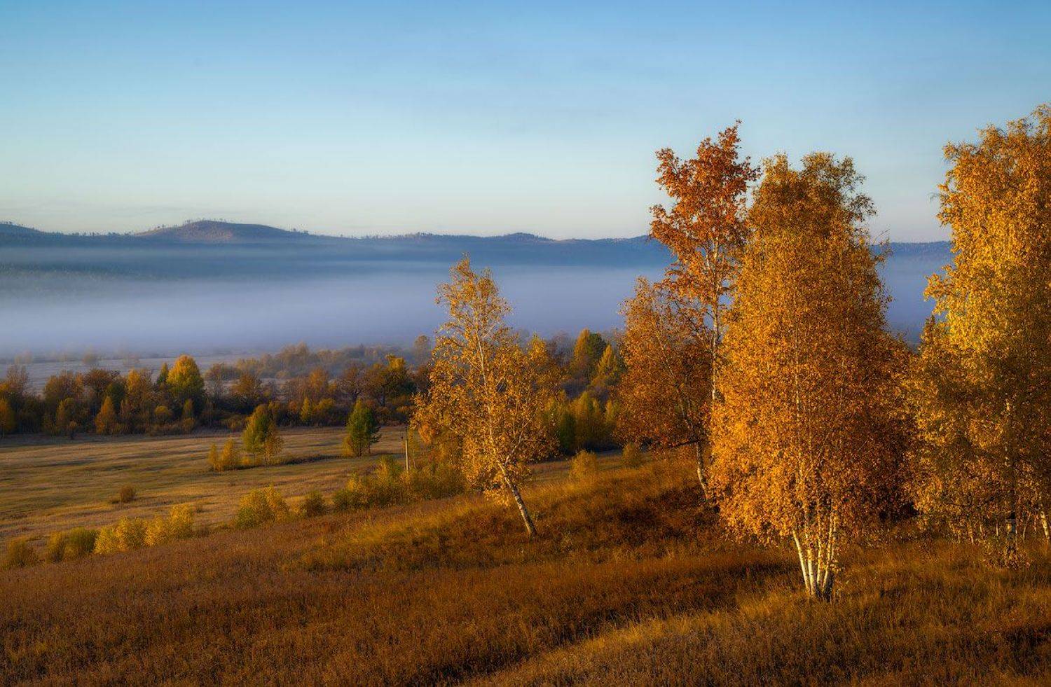 , Сергей Брагин