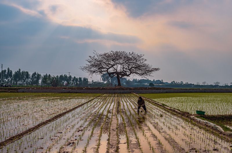 working on the field фото превью
