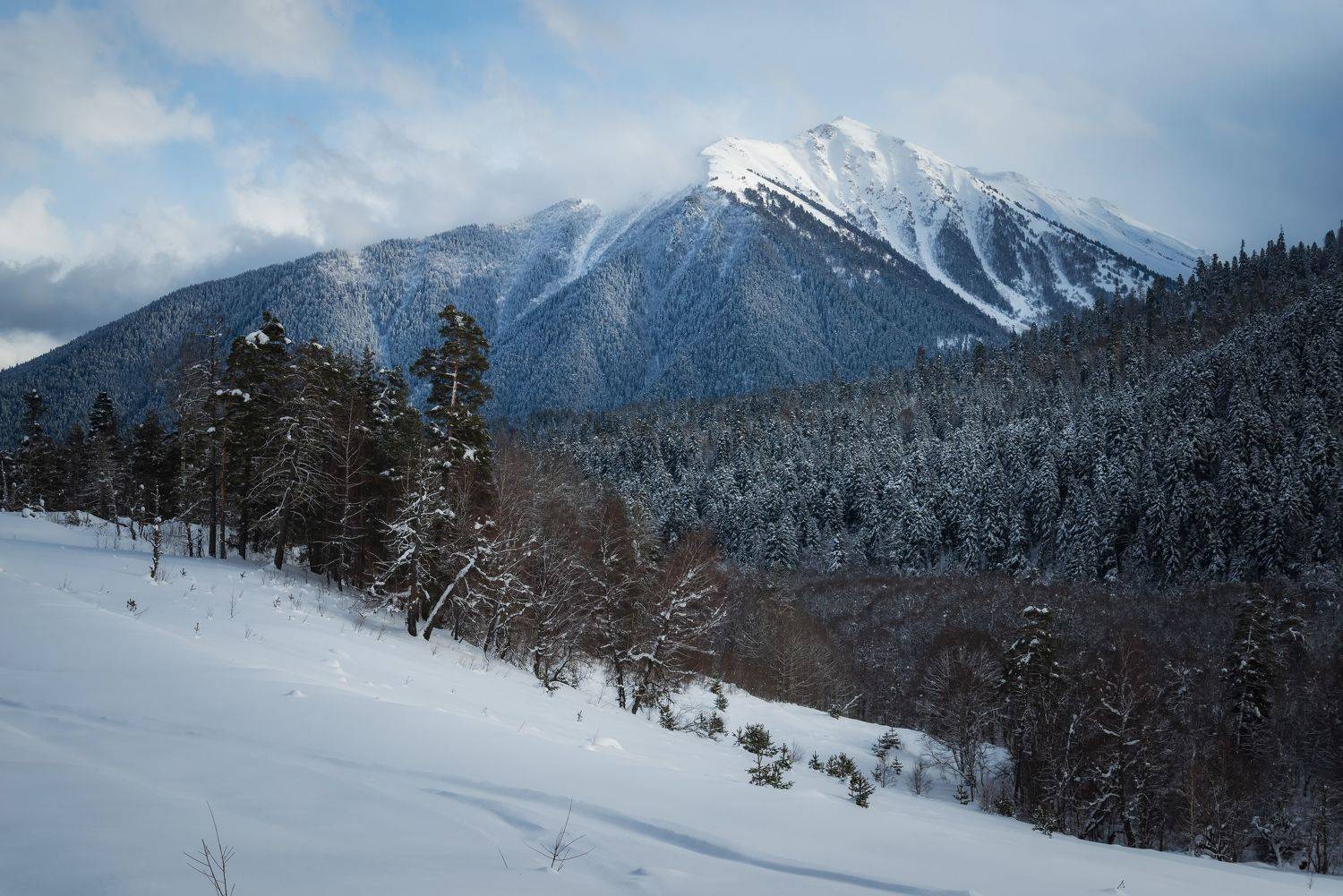 arkhyz, landscape, snow, landscape, frozen, frost, nature, mountains, forest, pine, glacier,, Бугримов Егор