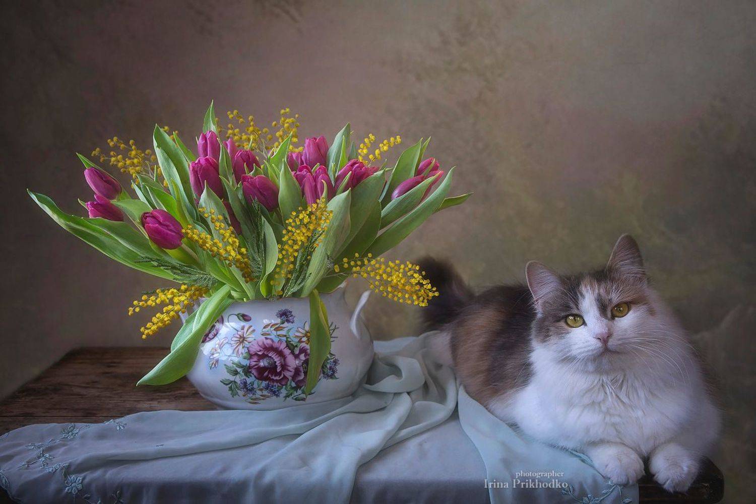натюрморт, цветы, букеты, весенние букеты, кошки, домашние питомцы, Приходько Ирина