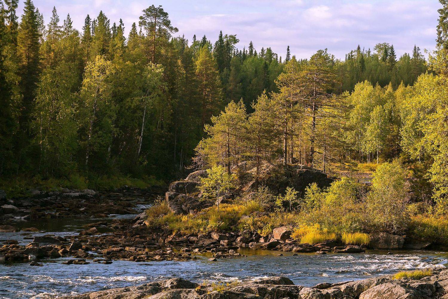карелия, Ярослав Лукьянов