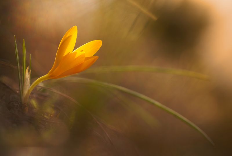 Small world wonders фото превью