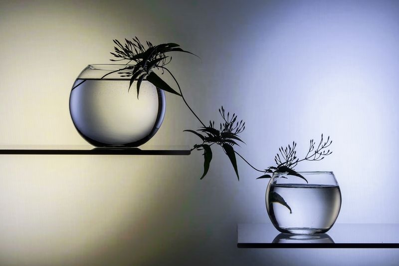 Oro y plata фото превью