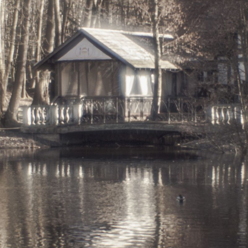 монокль, парк, город, пейзаж В парке фото превью