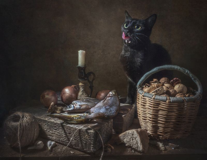 Сытый... фото превью