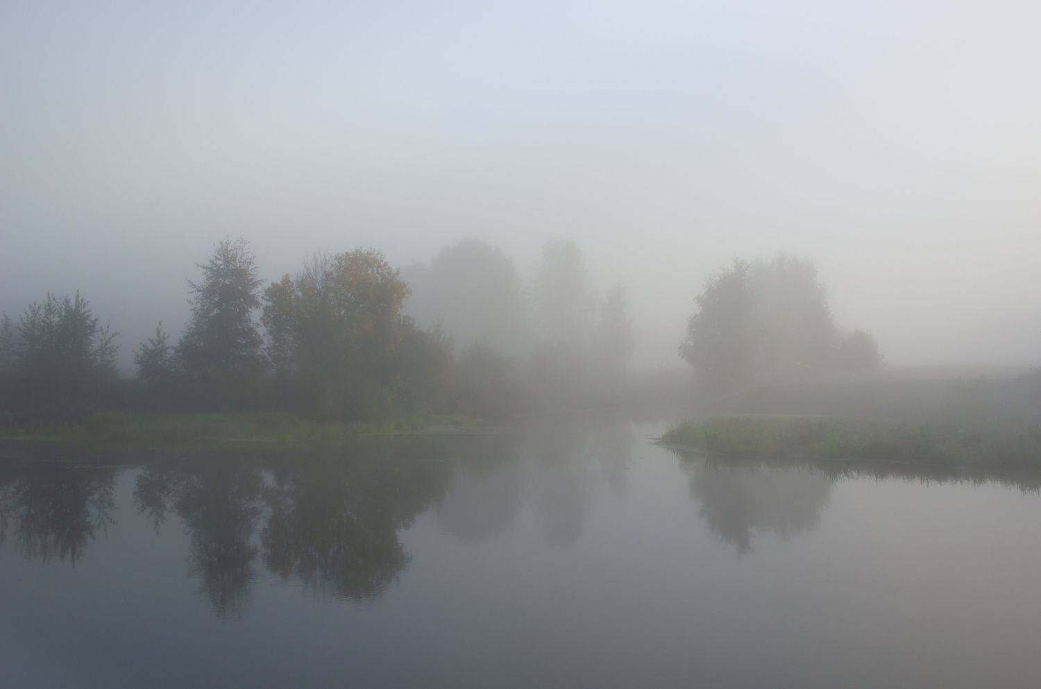туман, Ольга Бонина