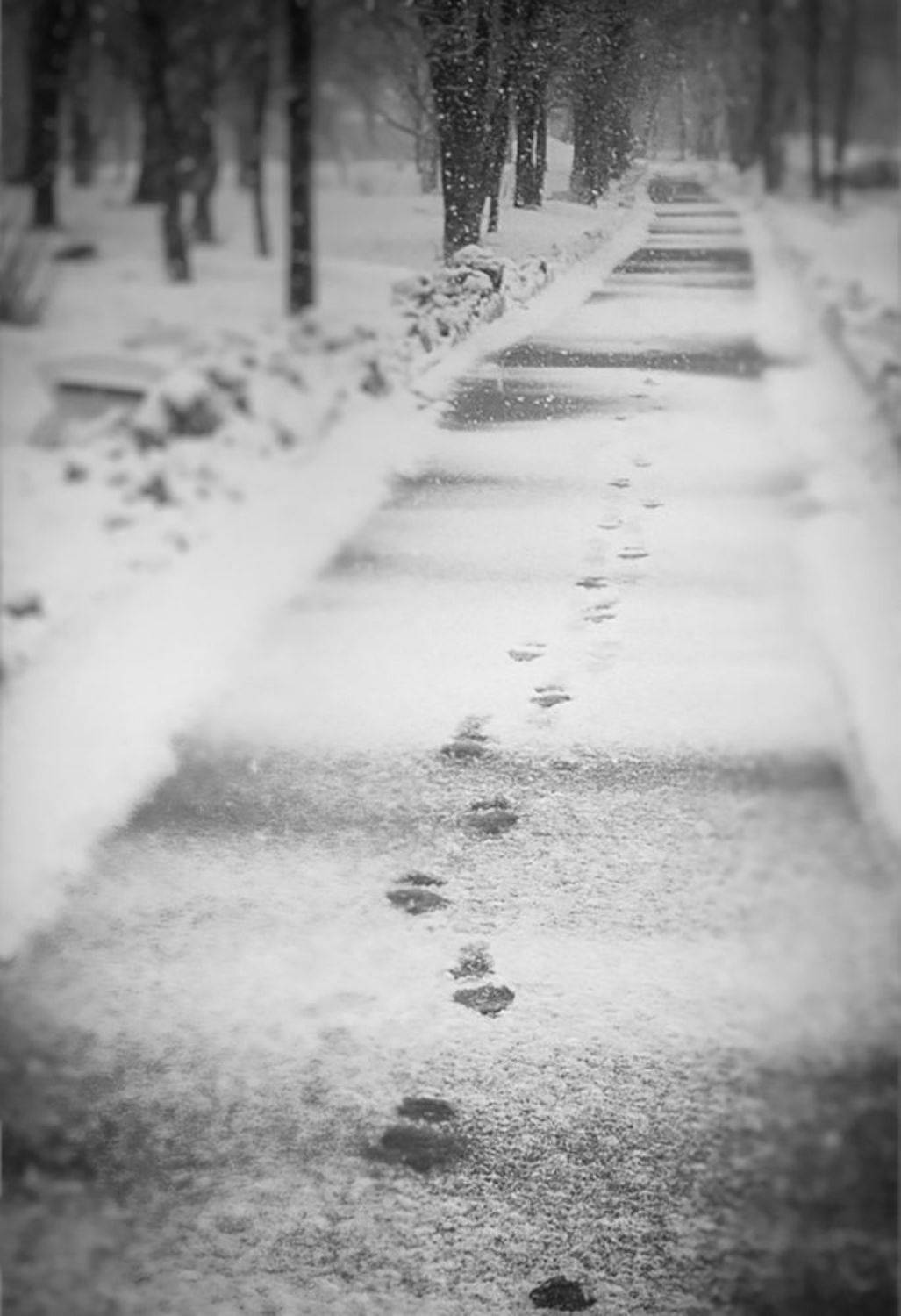 , Евгений Зинов