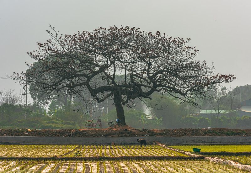 working on the field фото превью
