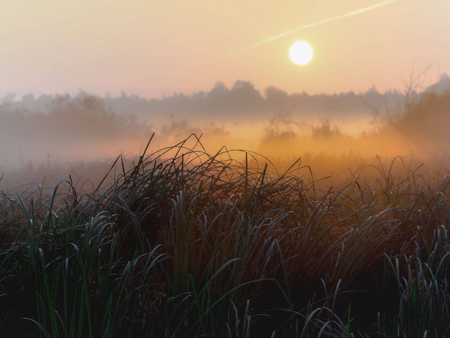 , Юрий Морозов