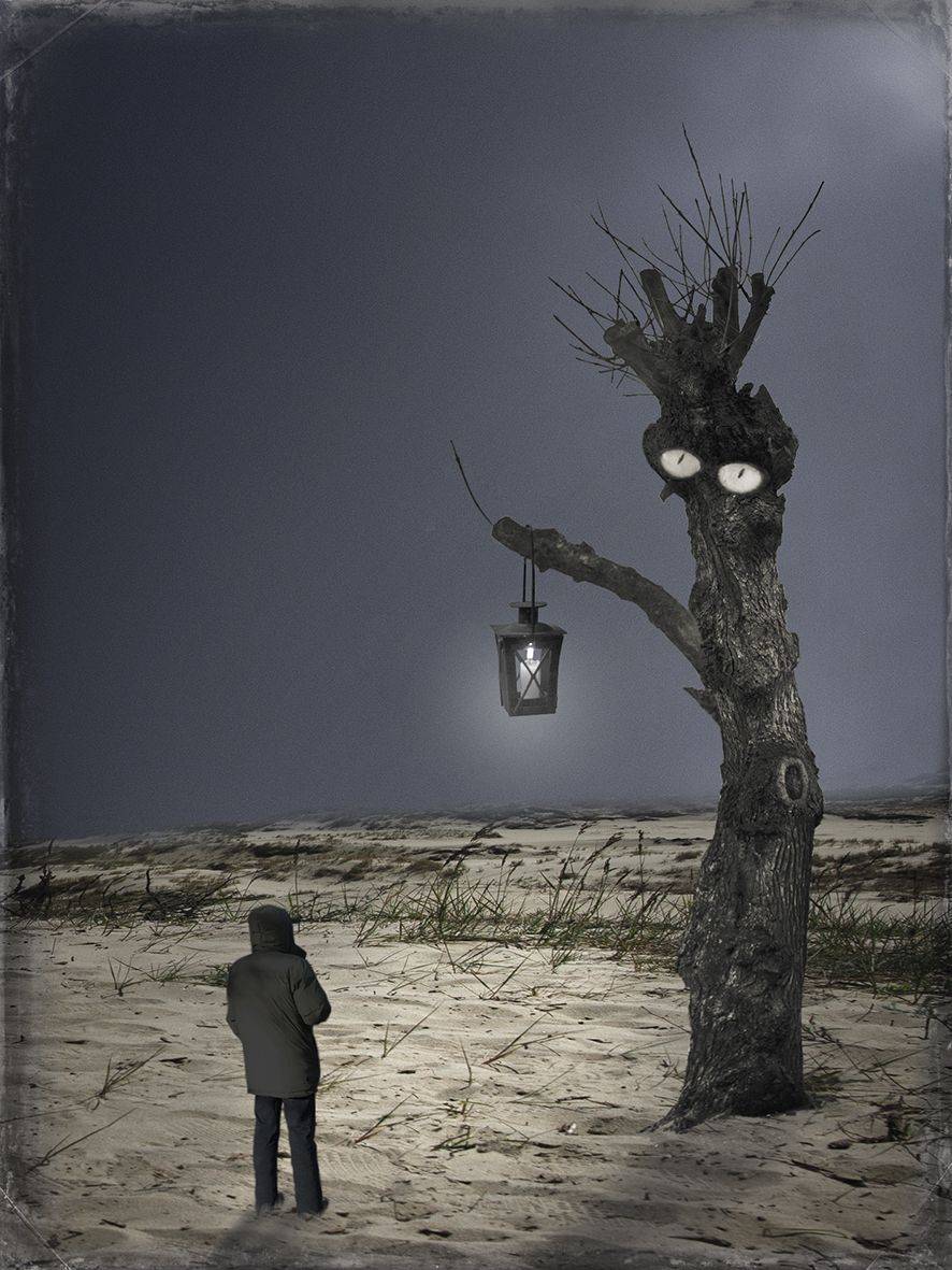 , T. Bondarenko