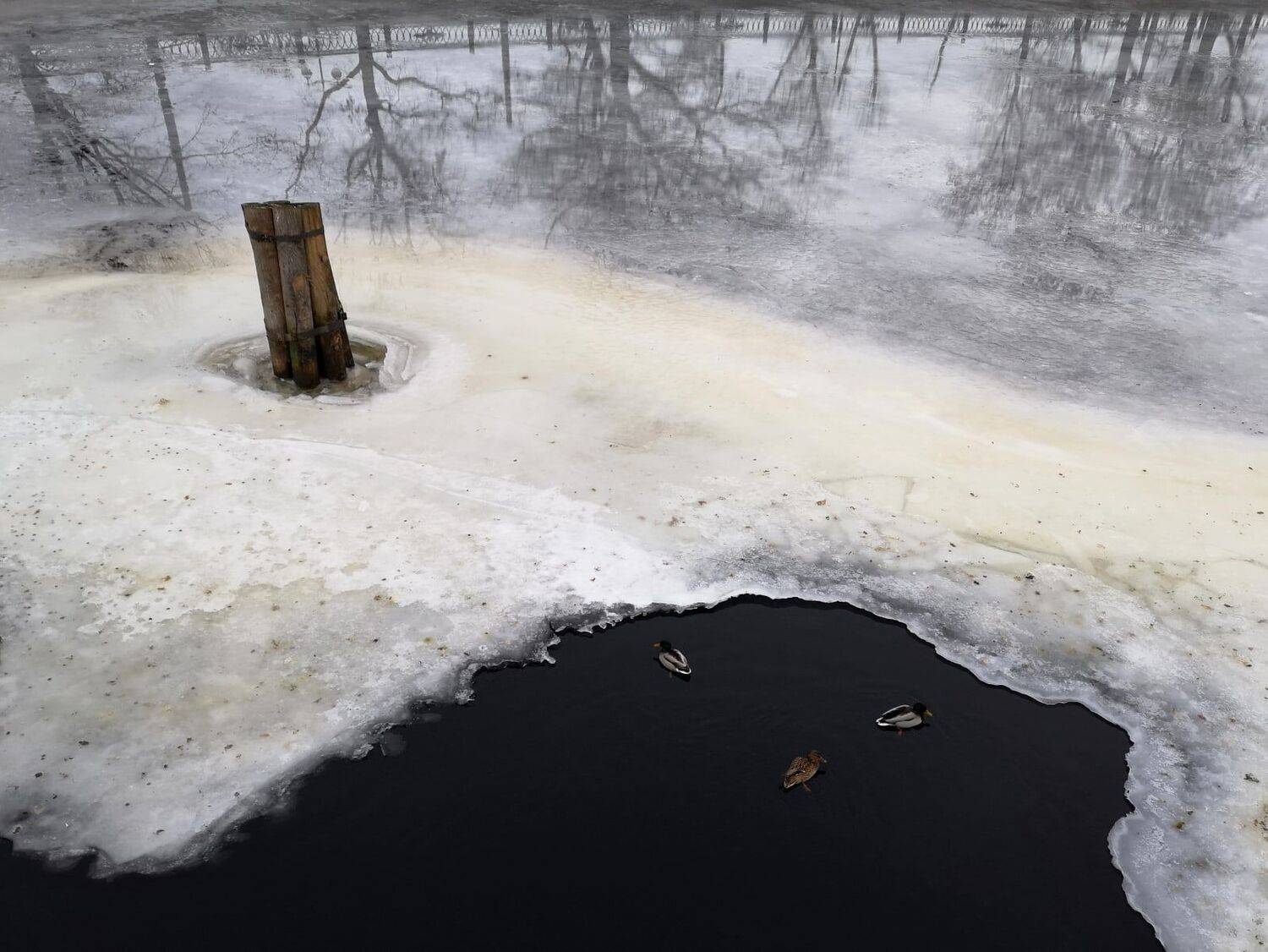 , Антон Лаба