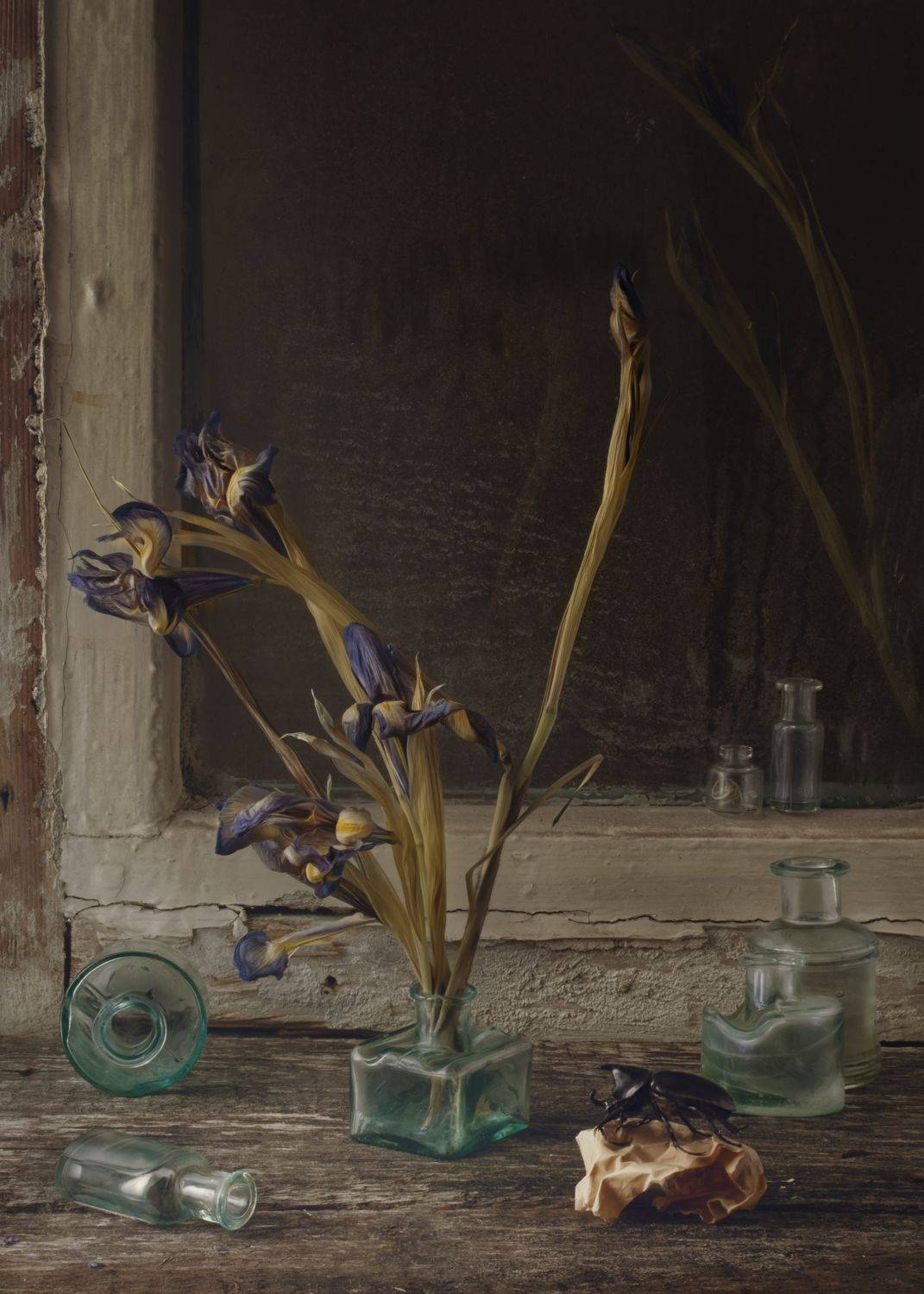 , Наталия Поникарова