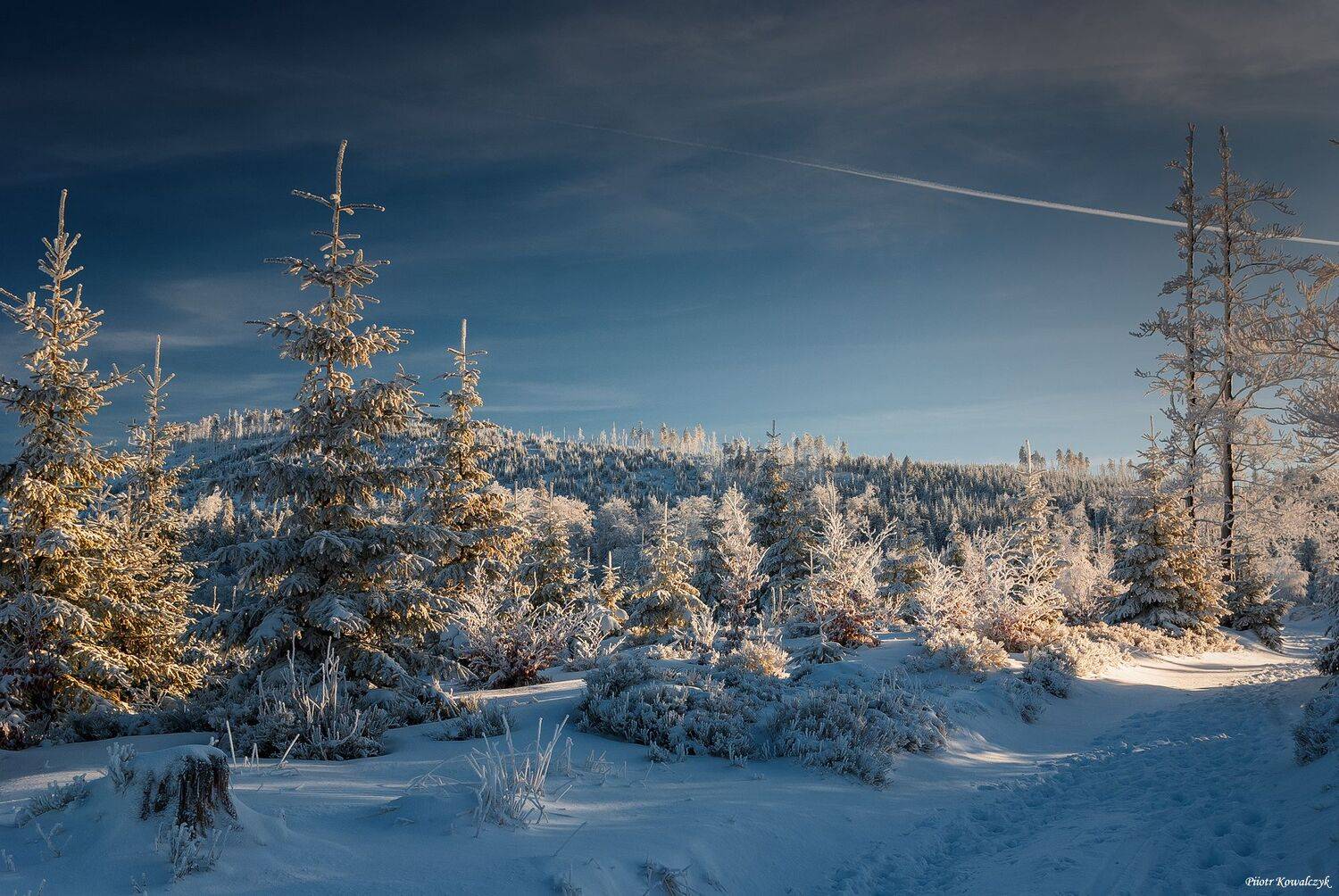 polska, zima, Kowalczyk Piotr