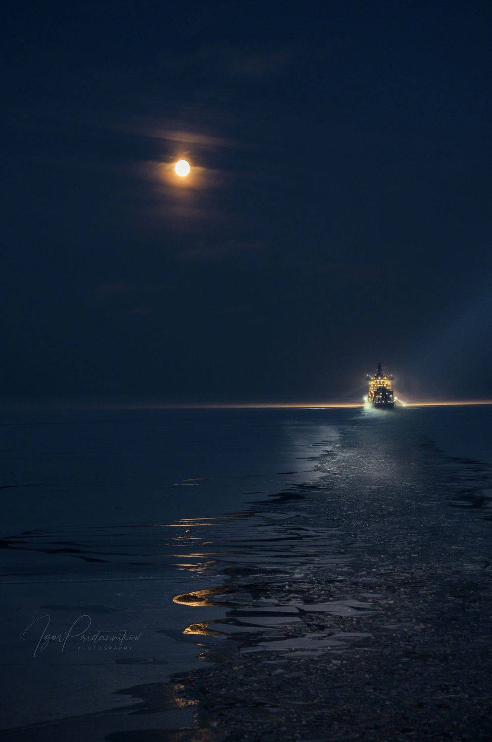 , Игорь Приданников