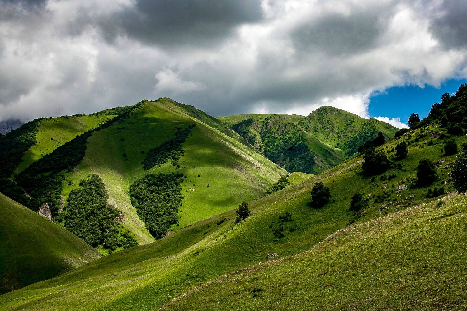 , Екатерина Нефедова