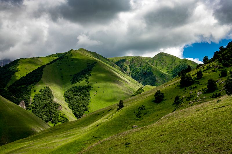 Изумрудные склоны фото превью