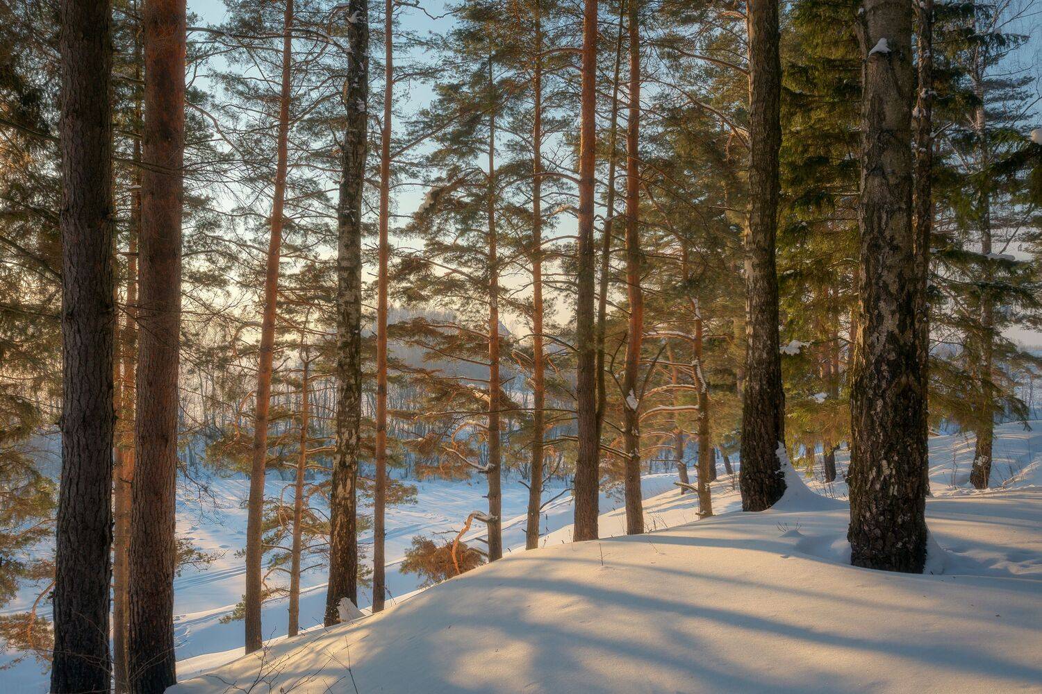 природа, весна, закат, Московская область, пейзаж, Мартыненко Дмитрий