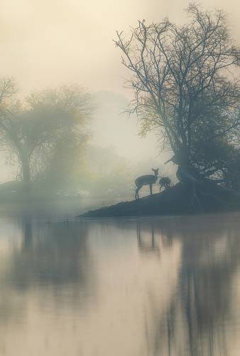 Artistic Bharatpur