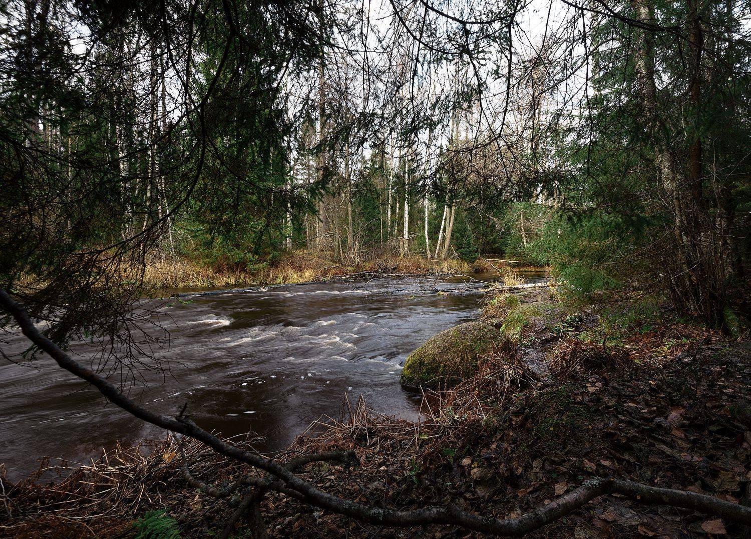 пейзаж, пейзажная фотография, пейзажи, река, россия, линдуловская роща, путешествие, landscape, landscapes, landscape photography, Матвей Кармаков