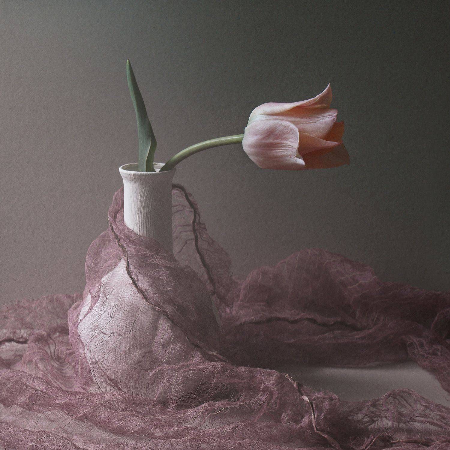 весна, цветы, тюльпан, Колеснева Елена