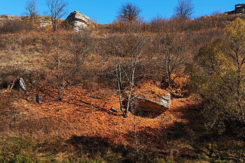 Воргол осенью фото превью
