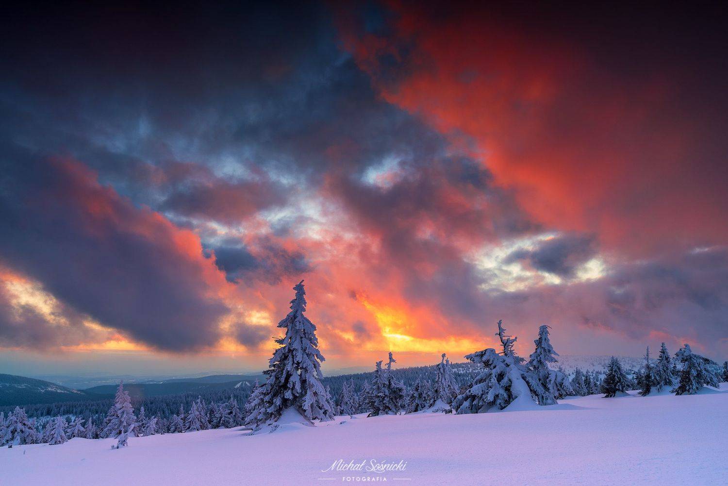 #tree #winter #sunset #sky #wood #nature #amazing #earth #pics #photo #best #poland #pentax #benro #haida, Sośnicki Michał