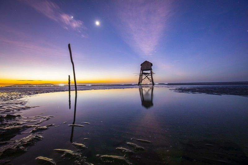 New day light фото превью