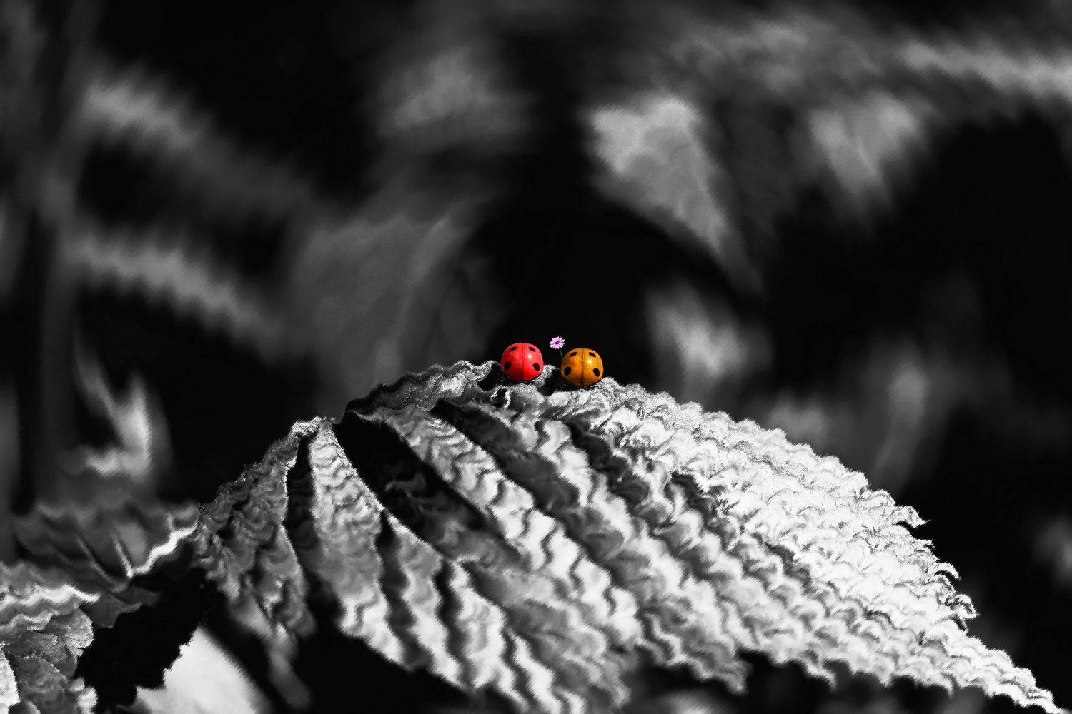 креатив, концепция, коллаж, creative, conceptual, collage, fineart, two, pair, пара, Дмитрий Салтыков