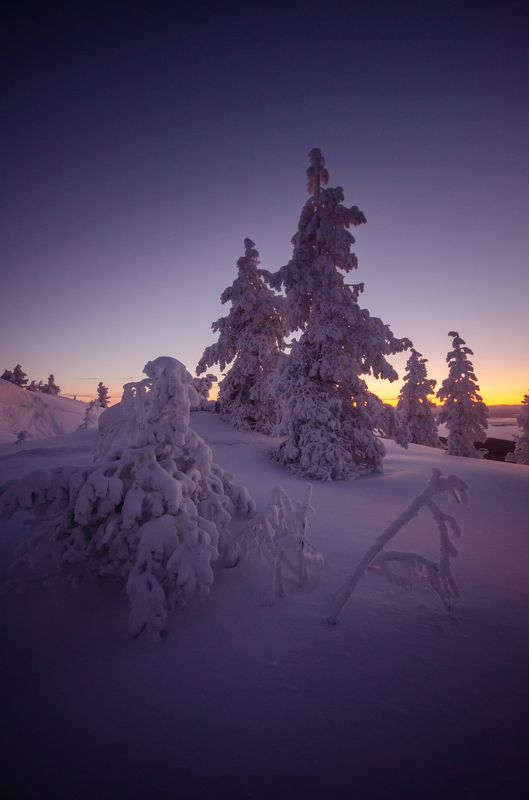 Кандалакша фото превью
