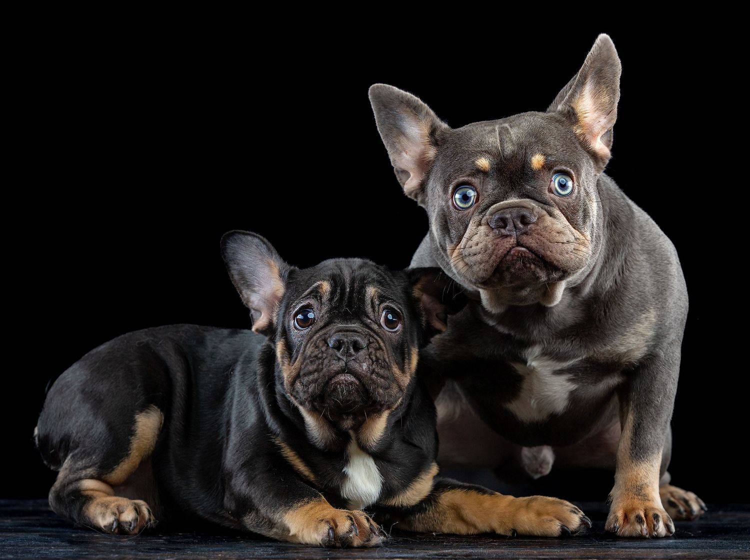 , игорь перфильев