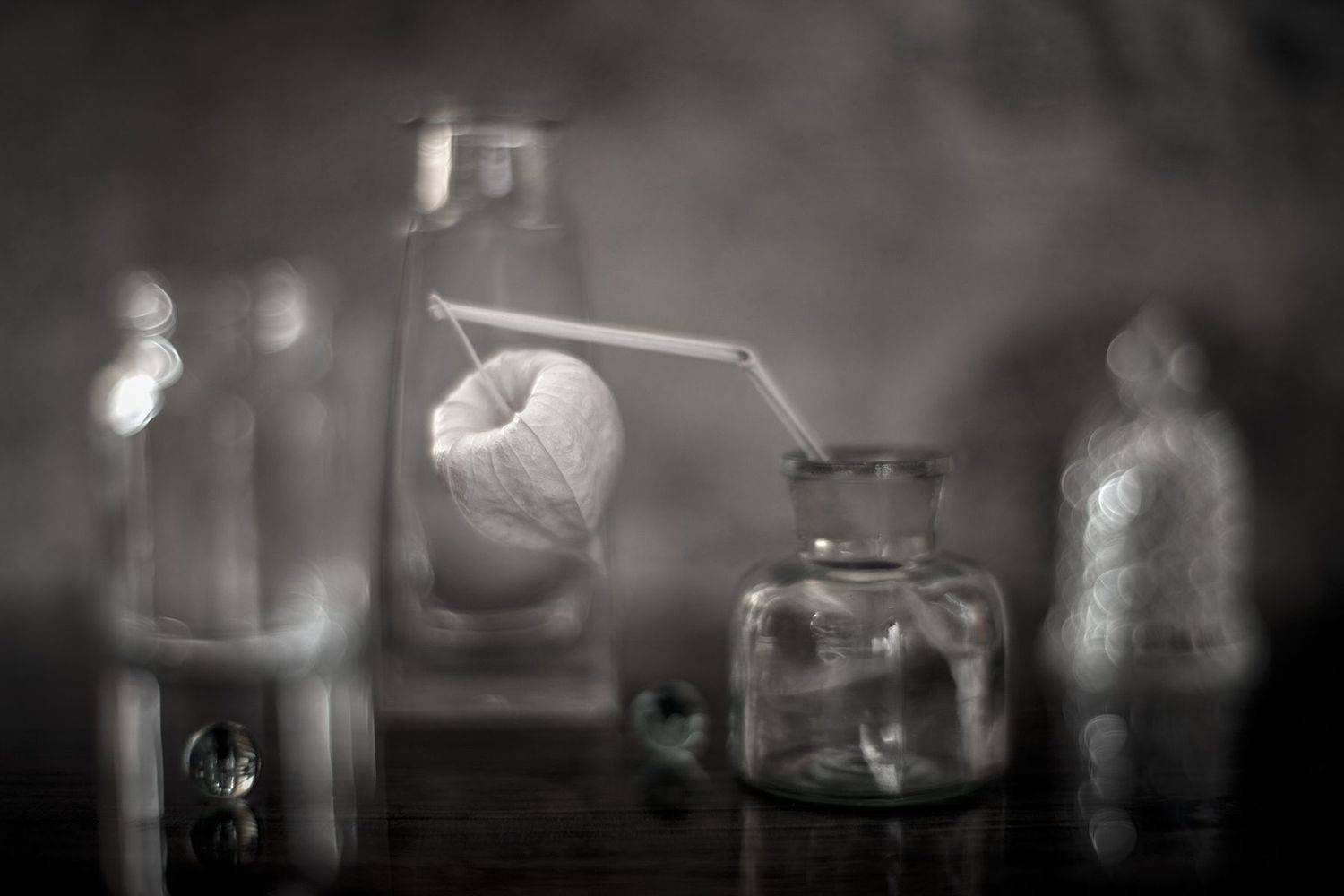 натюрморт, физалис, Александр