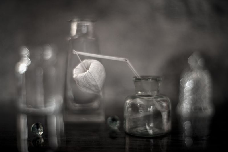 натюрморт, физалис *** фото превью