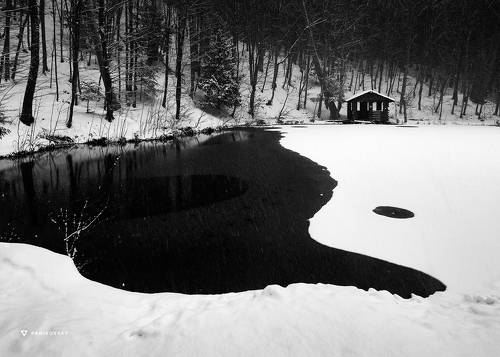 Хижина в лесу