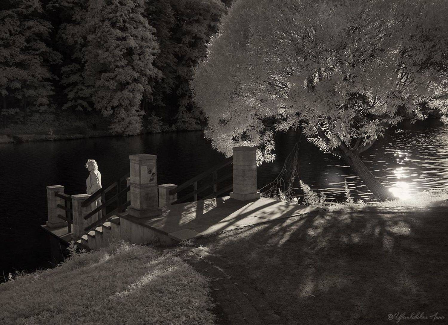 царицыно, инфракрасная съемка, Анна Цветковская