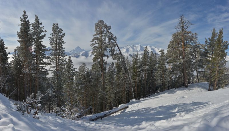 Дали Архыза фото превью