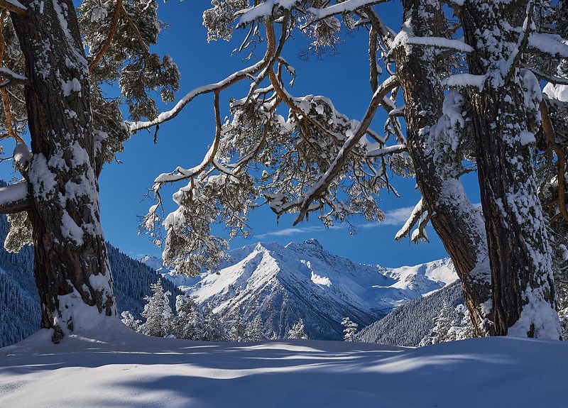 У подножия хребтов Архыза фото превью