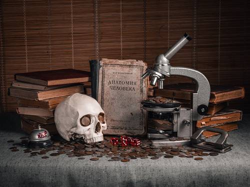 Анатомия человека в сути