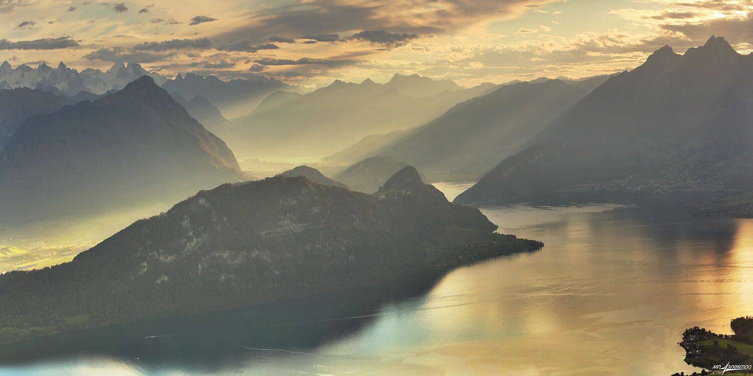 swiss, Матвеев Николай