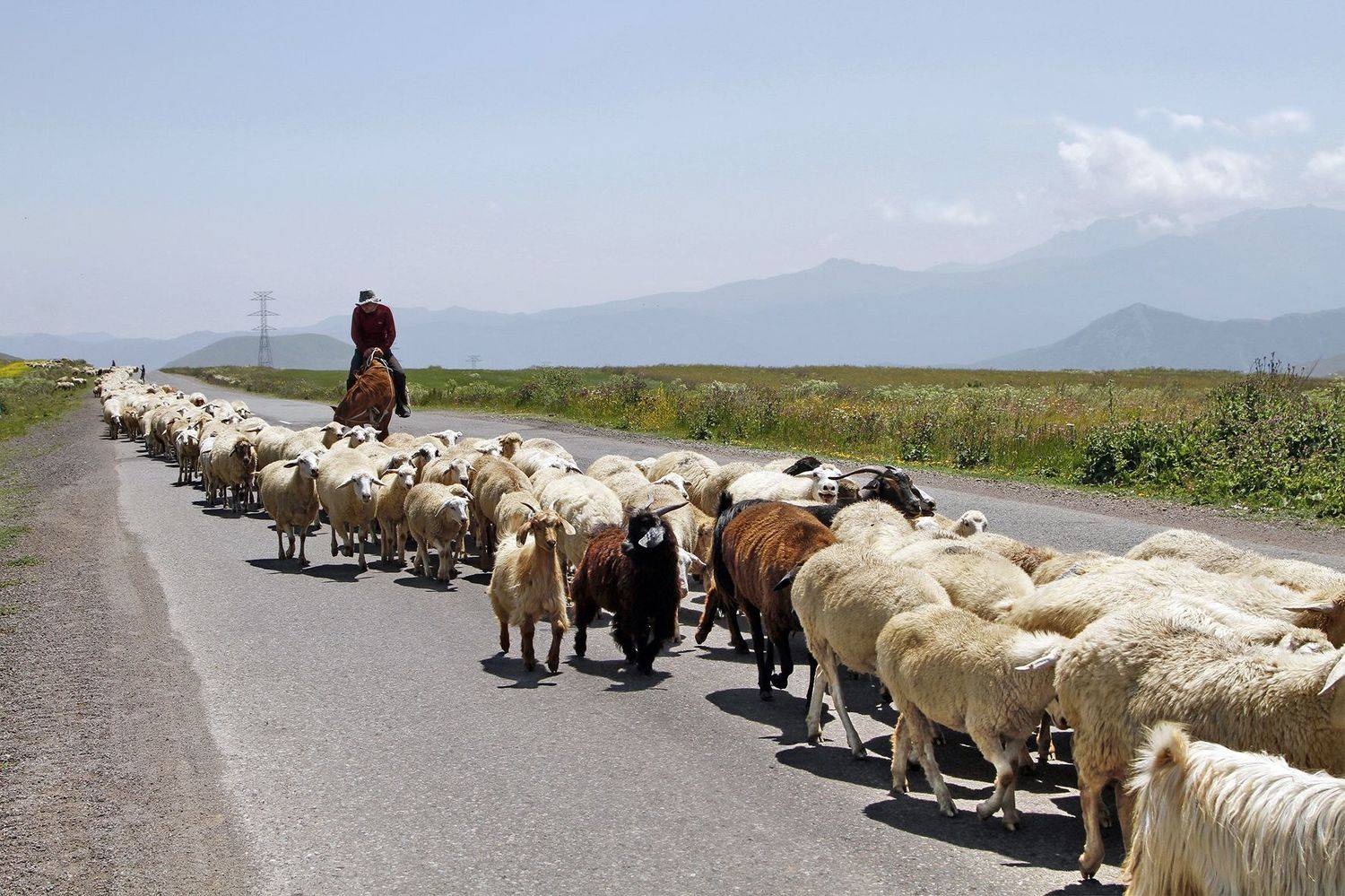 , Гагик Мхитарян