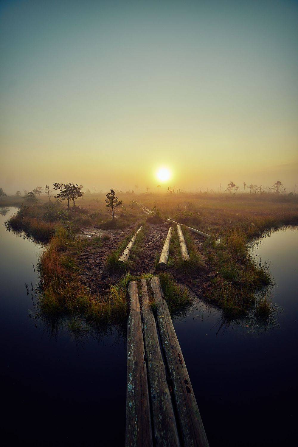 , Александр Фанковин