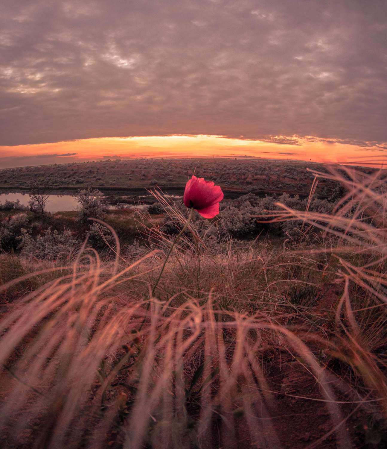 , Игорь Прошаков