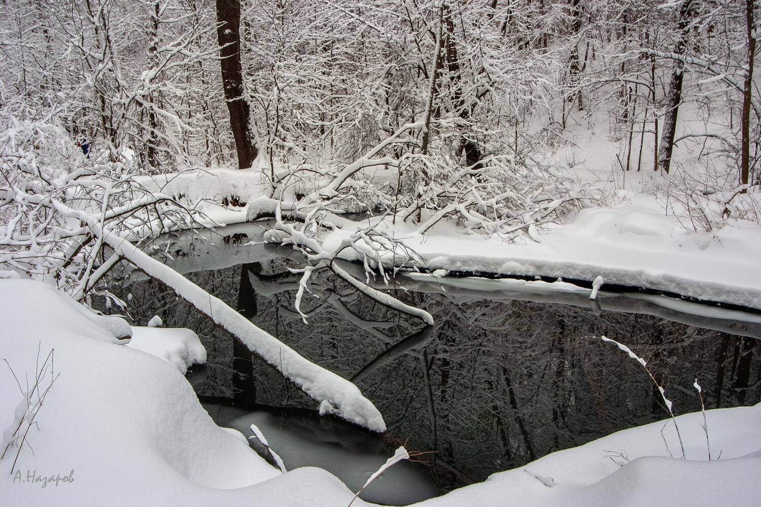 , Назаров Александр