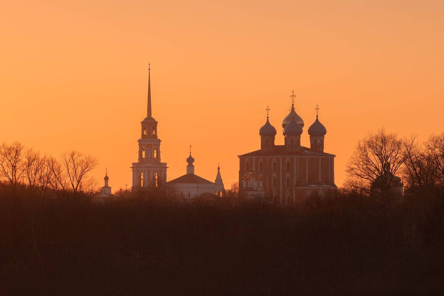 рязань кремль соборная колокольня грибы с глазами, Чудинин Дмитрий