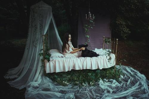 Dream
