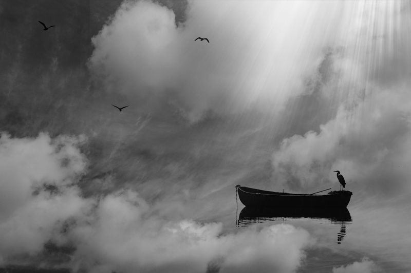 настанет свет и там где нас нет я провожаю закаты а ты встречаешь рассвет фото превью