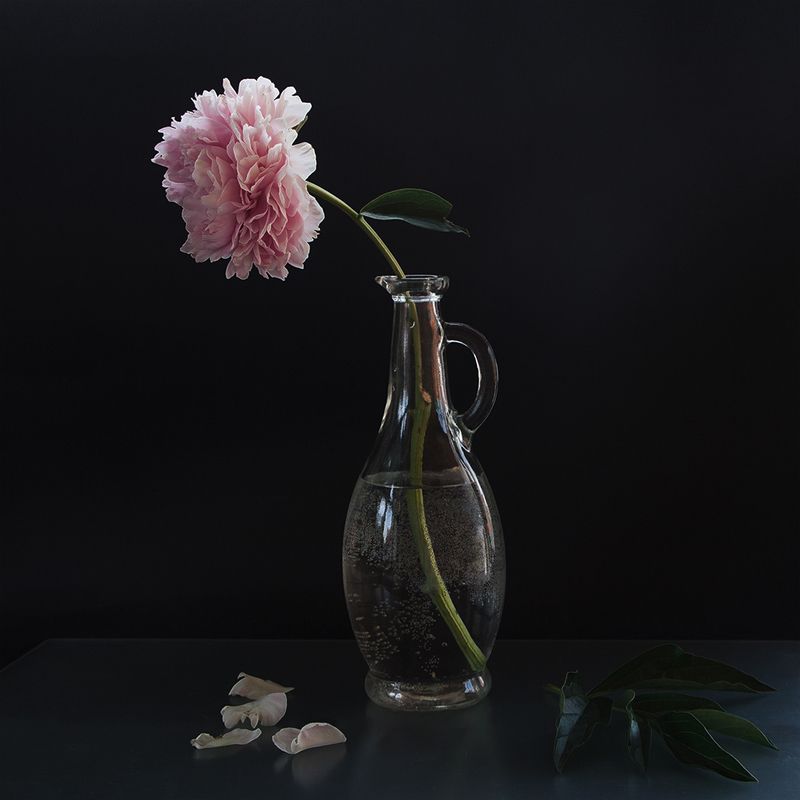 Пион фото превью