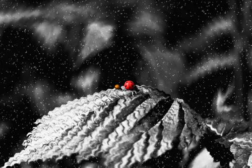 Перемены... (ver.2)