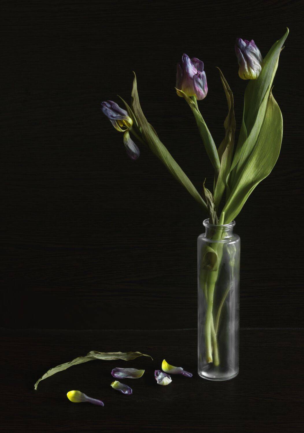 , Ольга Бонина