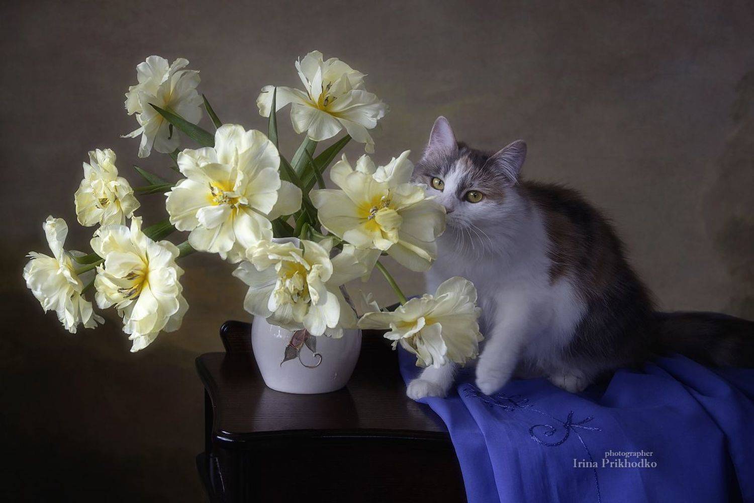 натюрморт, котонатюрморт, букеты, цветы, тюльпаны, котейки, кошки, домашние питомцы, Приходько Ирина
