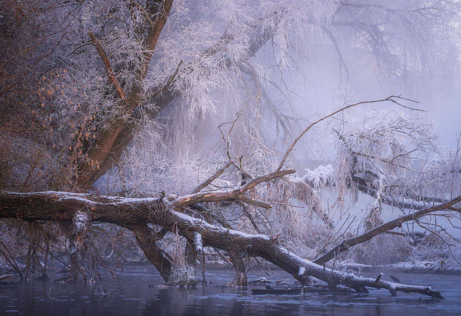 , Левыкин Виталий